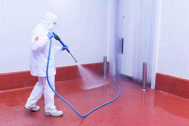 Best Solar Panel Cleaning  in Geneva, FL